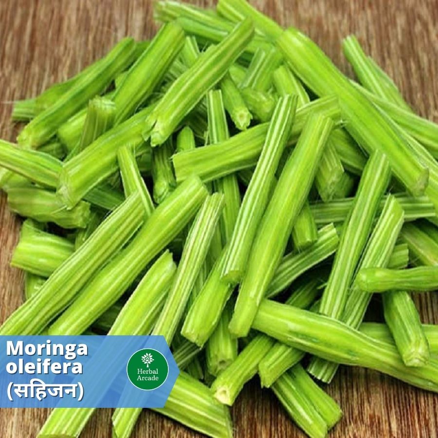 benefits of moringa Herbal Arcade