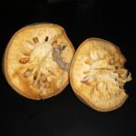 Bael (Aegle Marmelos) (बेल) | Introduction | Medicinal Benefits | Usage