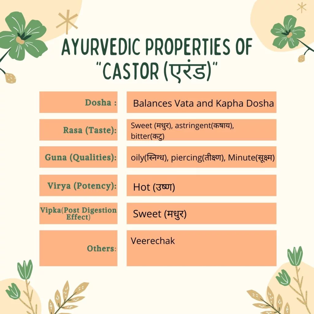 Ayurvedic Properties of Eranda (Castor oil plant)Herbal-Arcade Ayurvedic Properties of Eranda (Castor oil plant)Herbal-Arcade