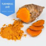 Turmeric(Curcuma longa)(हल्दी) | Introduction | Common Names | Benefits | Usages | Gallery