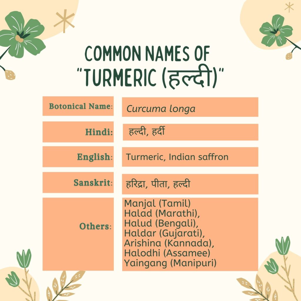 TURMERIC Common Names HERBAL ARCADE