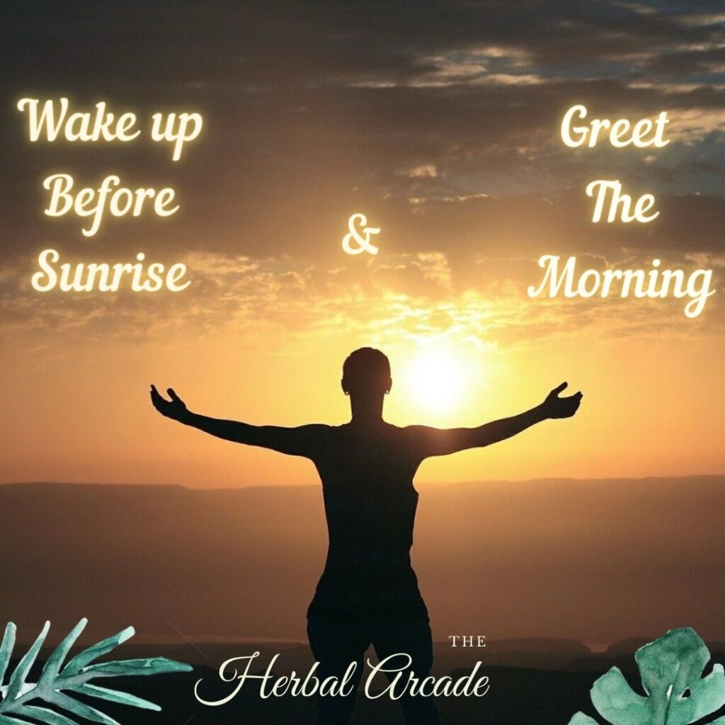 ayurveda wake up time