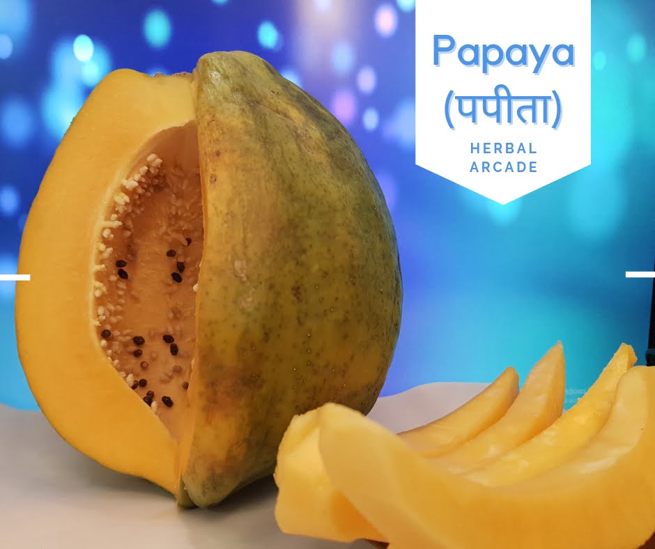 Papaya (पपीता) Herbal Arcade
