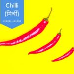 11 surprising benefits of Chilli (मिर्च)(Capsicum annuum) | Introduction | Common Names | Usages | Gallery