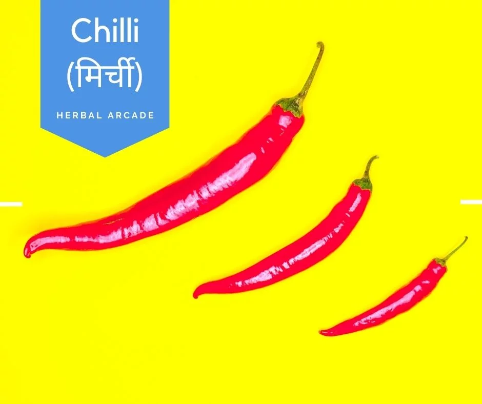 Red chillies(लाल मिर्च)(Capsicum annuum) Herbal Arcade