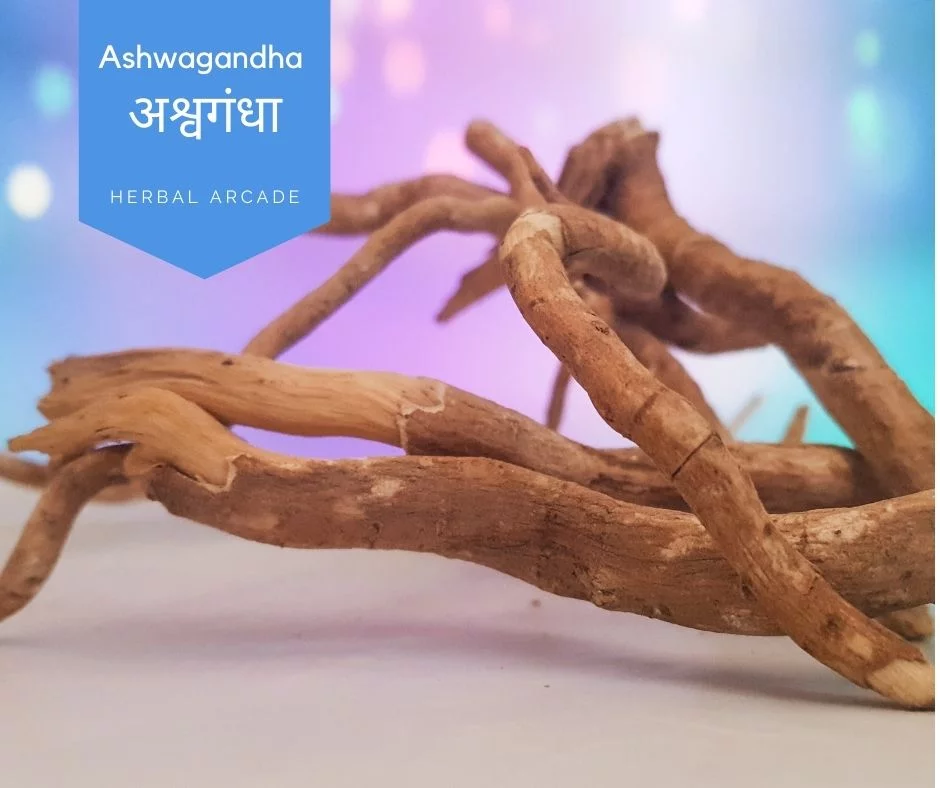 benefits of ashwagandha Herbal Arcade