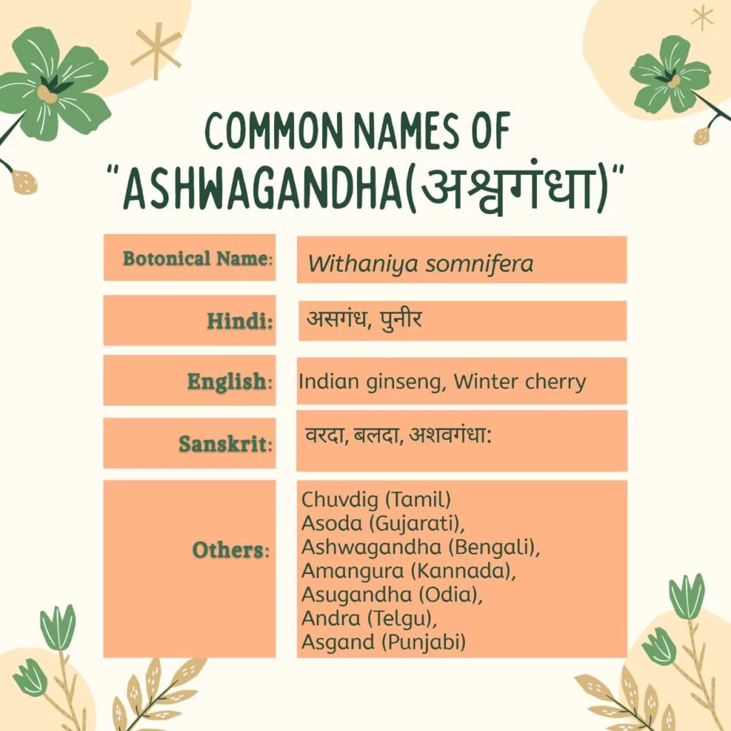 Ashwagandha Common Names Herbal Arcade