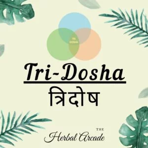 Concept of Tridosha: A Science of three bio-energies -Ayurveda