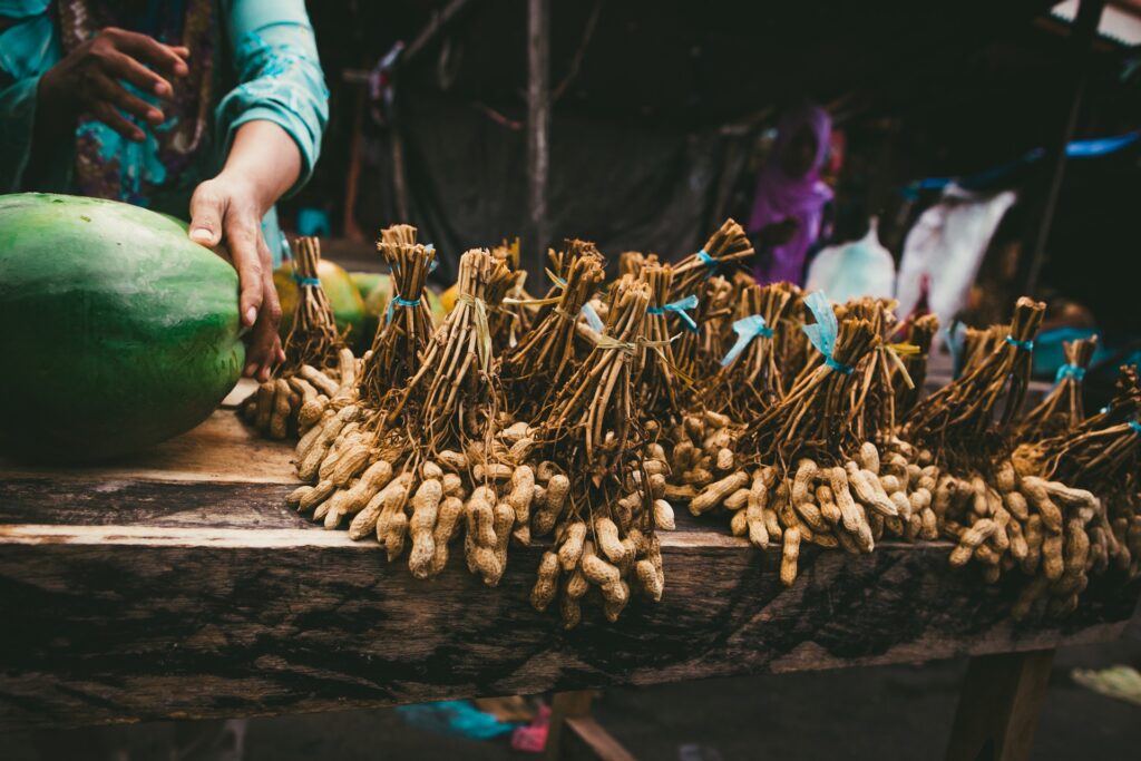 Fresh Peanut (with Stems) Herbal Arcade