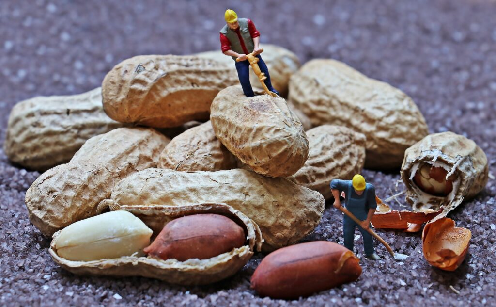 Peanut (Groundnut) Herbal Arcade