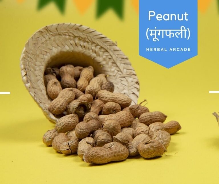 Ground Nut Peanut Herbal Arcade