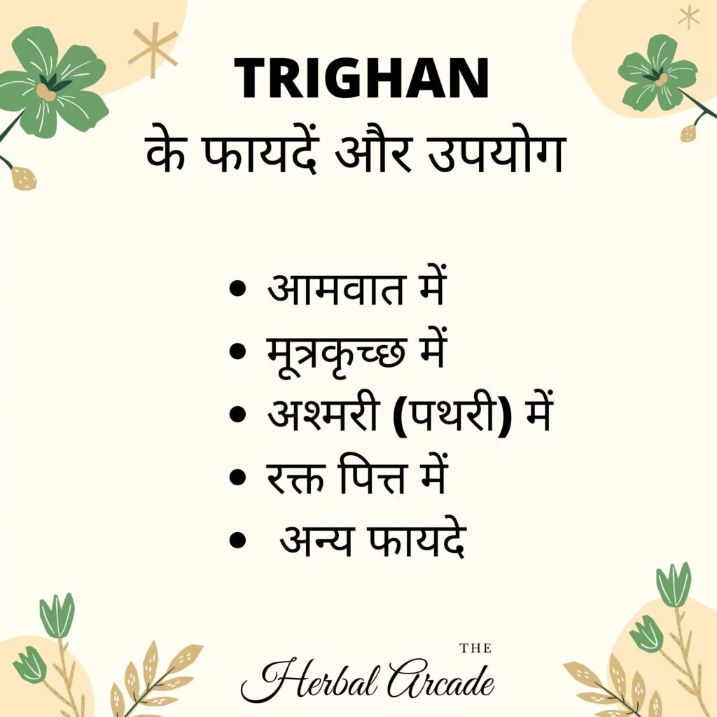 ट्रायघन के फायदे herbal arcade 