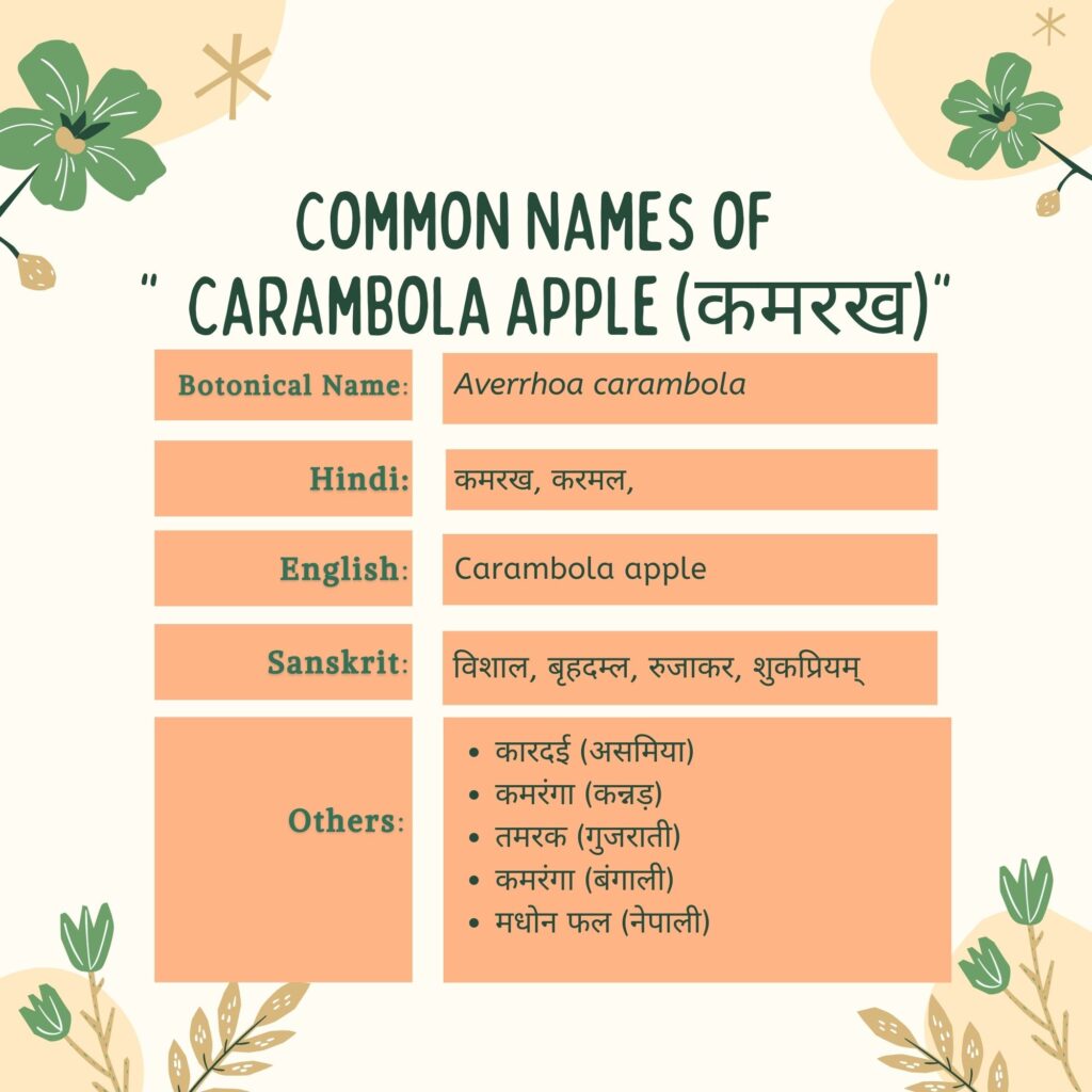 common names of kamrakh Herbal Arcade