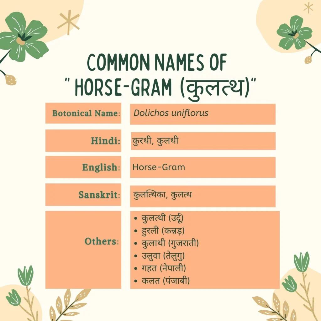 Kulathi common names Herbal Arcade