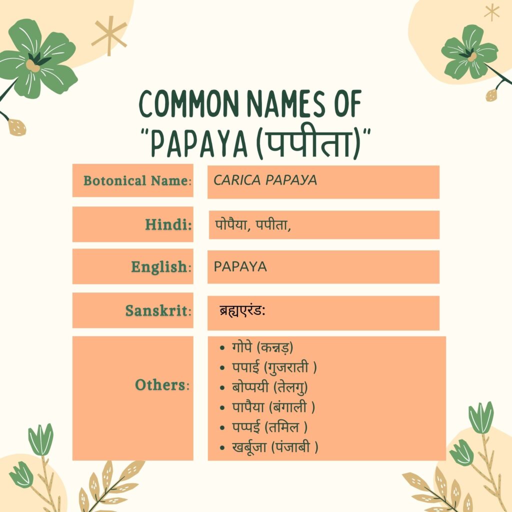 common names of papaya Herbal Arcade