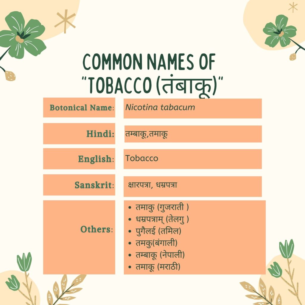 common names of tobacco Herbal Arcade