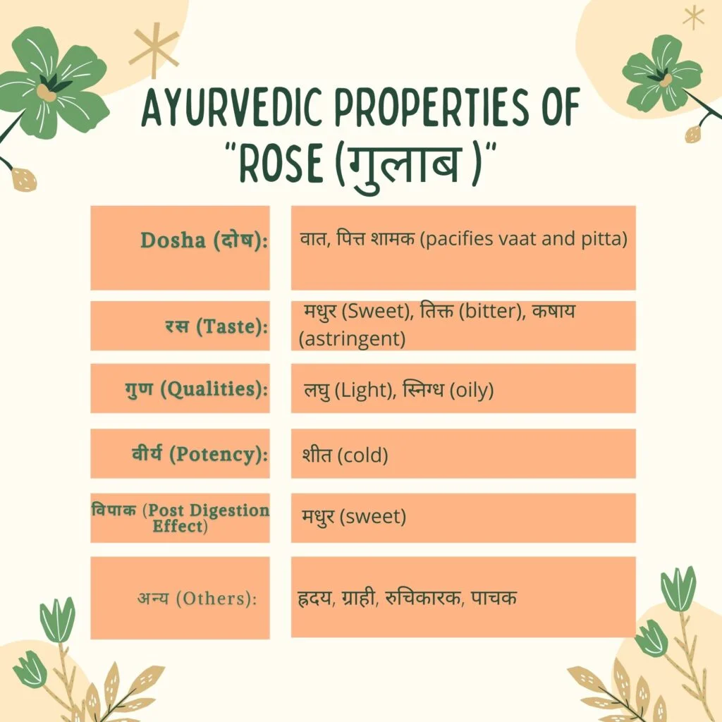 Rose ayurvedic properties Herbal Arcade