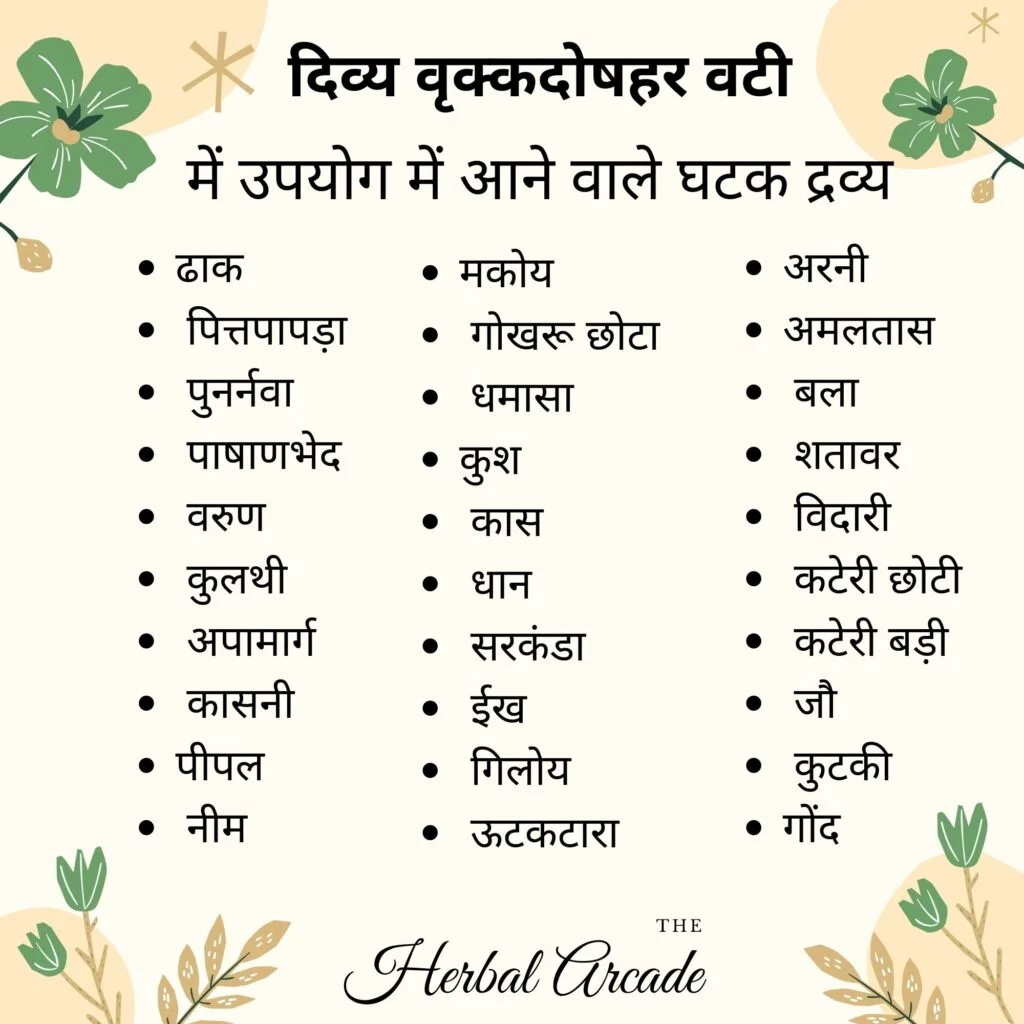 Vrikkdoshhar vati contents Herbal Aracde