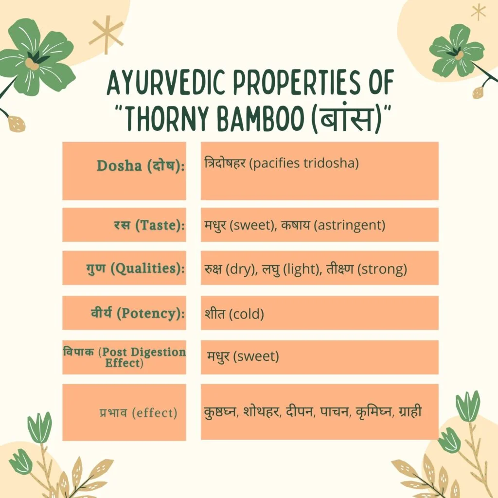 Ayurvedic properties of Baans Herbal Arcade