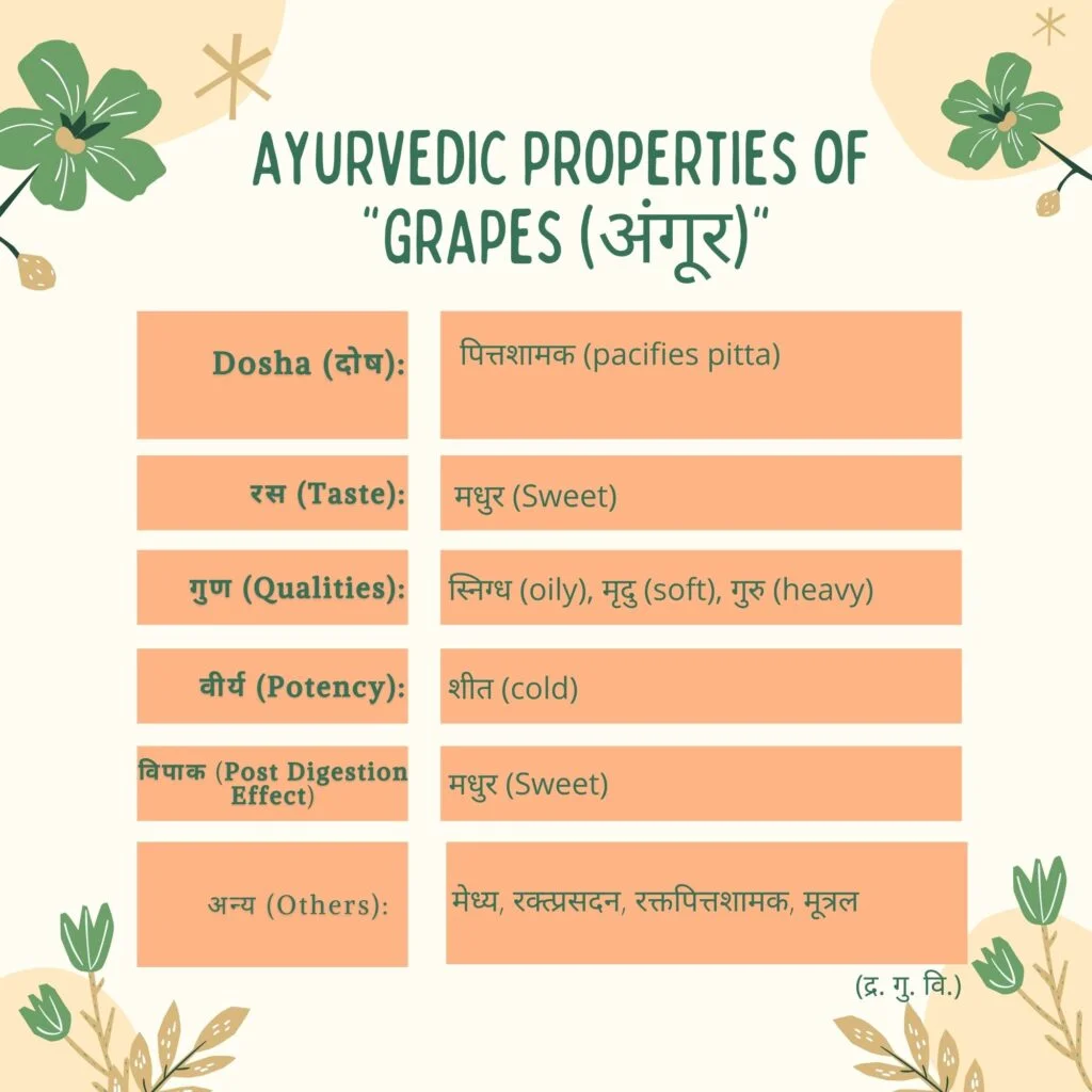 Ayurvedic properties of Grapes Herbal Arcade