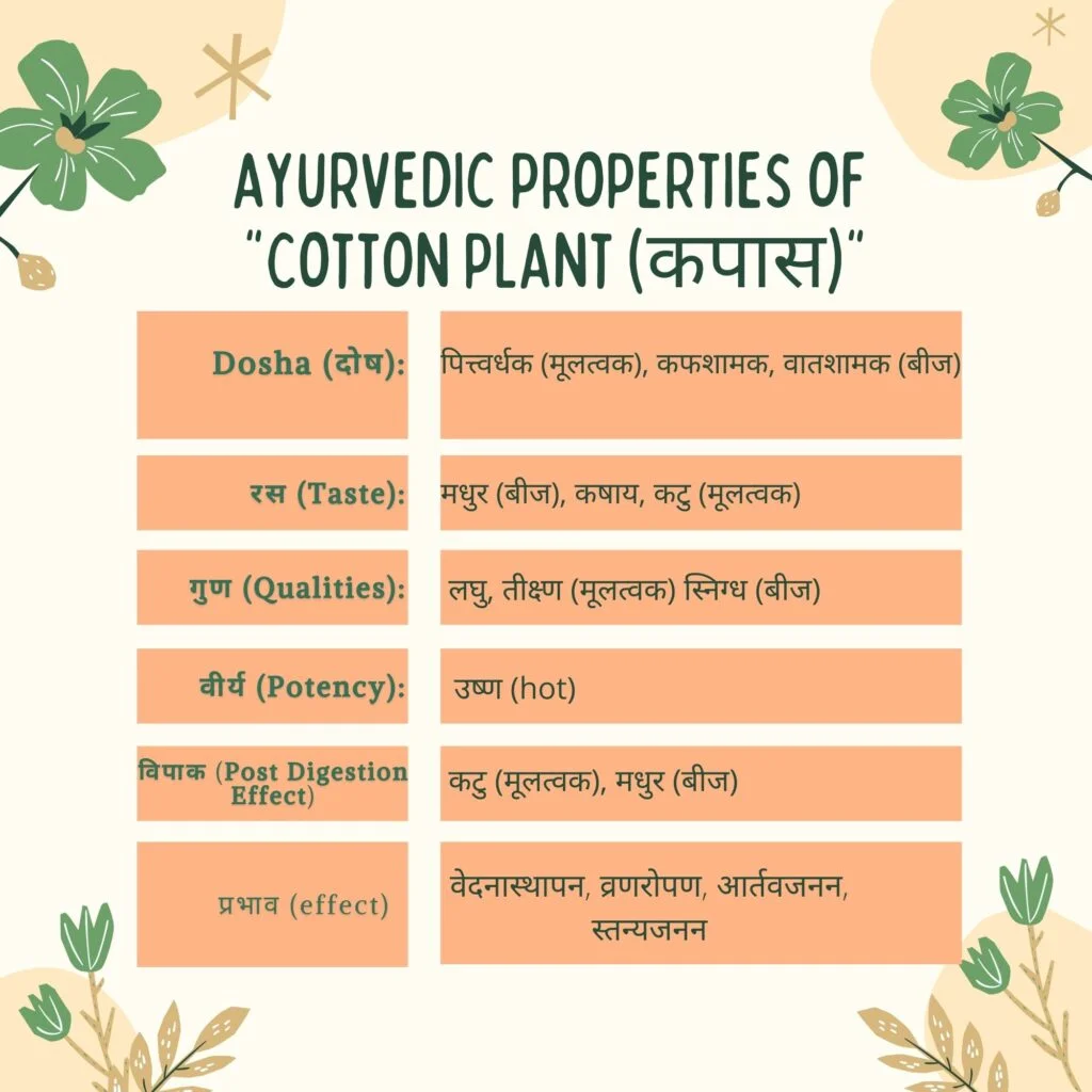 Ayurvedic properties of kapas Herbal Arcade