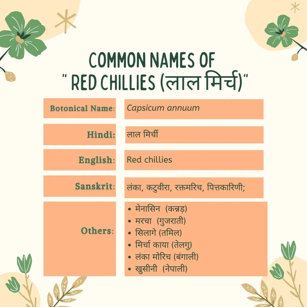 लाल मिर्च के सामान्य नाम Herbal Arcade