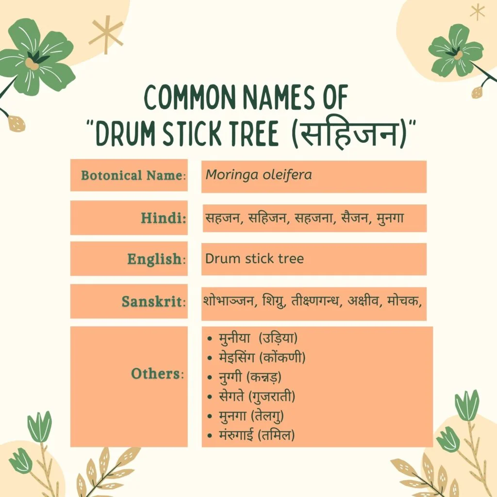 सहिजन  के सामान्य नाम Herbal Arcade