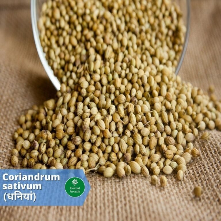 benefits of dhaniya Herbal Arcade