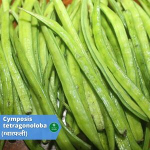 benefits of Cluster bean Herbal Arcade