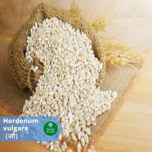 benefits of jao Herbal Arcade