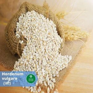 benefits of jao Herbal Arcade