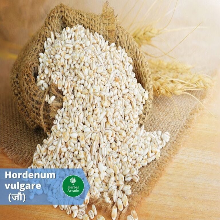 benefits of jao Herbal Arcade