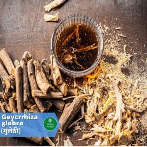 benefits of mulethi Herbal Arcade