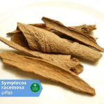 महिलाओं एवं पित्त रोगियों लिए चमत्कार से कम नहीं – लोध्र(Lodhra: benefits an usages)