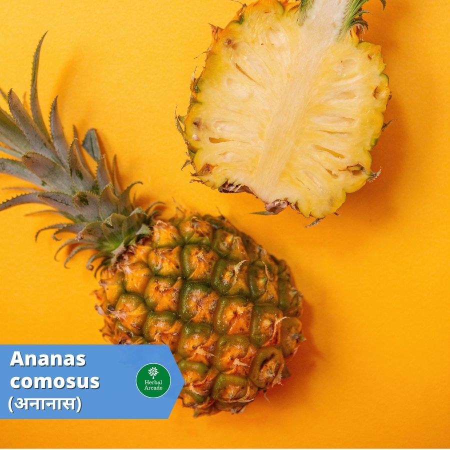 benefits of pineapple Herbal Arcade