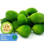 किकोड़ा (Kikoda)