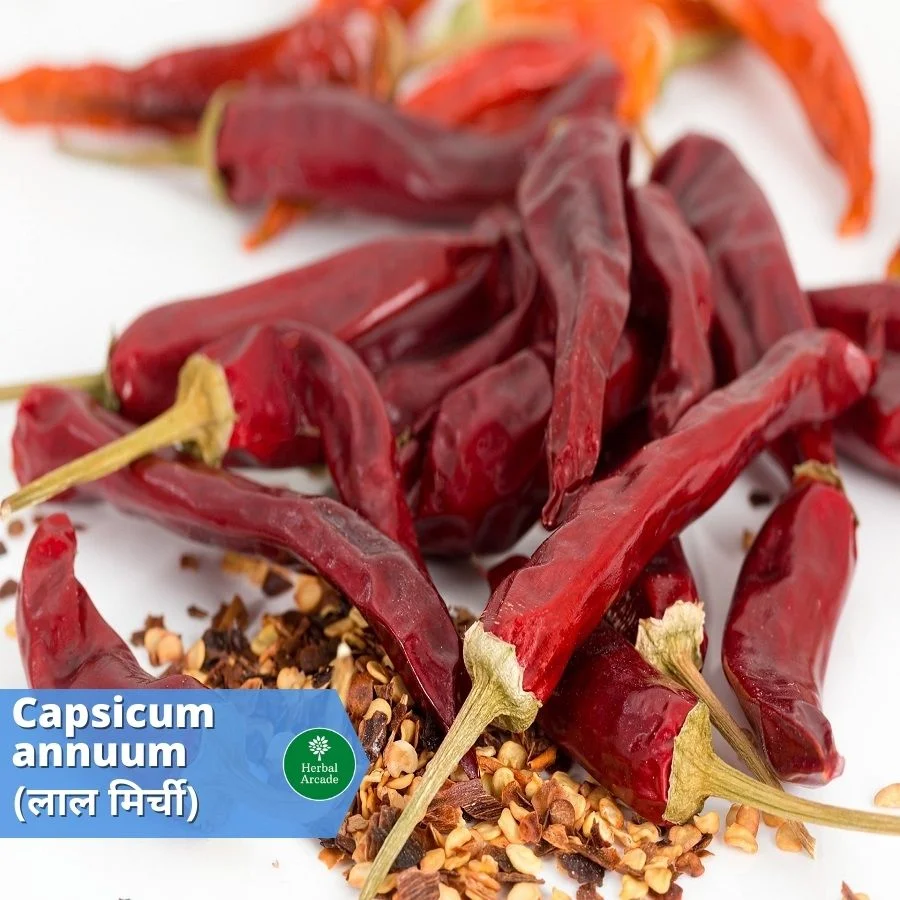 benefits of red chilli Herbal Arcade