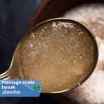 ईसबगोल: कब्ज़ हो या दस्त हर वक्त काम देगी ये औषधि (Isabgol: 21 benefits, usages)