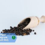 काली मिर्च  (Black peeper)