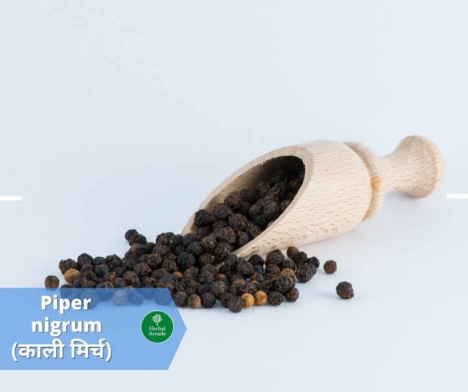 benefits of black peeper in hindi Herbal Arcade