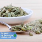 छोटी इलायची (Choti Elaichi): किचन की मसाले के होते है 20 से ज्यादा फायदे (Benefits and Usage)