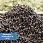 लौंग (Clove)
