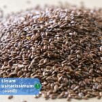 अलसी (Flax) के फायदे इतने की गिनते गिनते थक जाओगे(Benefits and dosage)