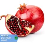 अनार (Pomegranate): ये है अनार जो कोई खाता अपनी सेहत खूब बनाता (know 36 Benefits and usages)