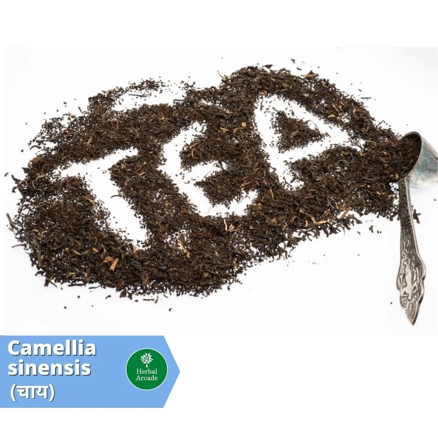 benefits of tea Herbal Arcade