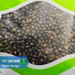 उड़द (Urad): इस स्वादिष्ट दाल को खाने के भी होते है 15 फायदे (15 Benefits and Usage of black gram)
