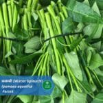 कलम्बी सेवन के अनगिनत फायदे(Water Spinach: Introduction, benefits, usages)
