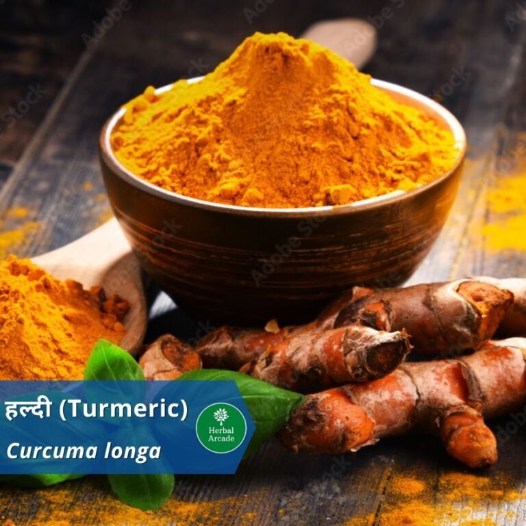 Turmeric Herbal Arcade