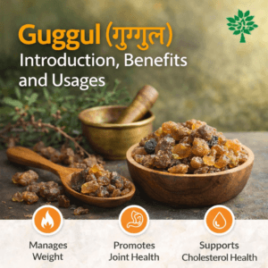 Guggul (गुग्गुल) – Introduction, Benefits and Usages