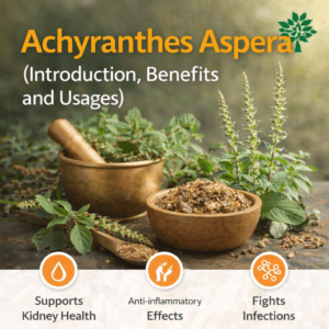 Achyranthes Aspera